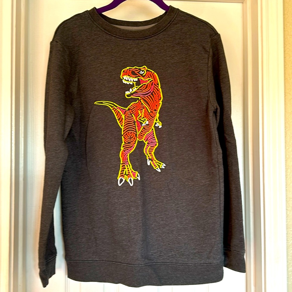 Glow-in-the-dark Dino Sweatshirt